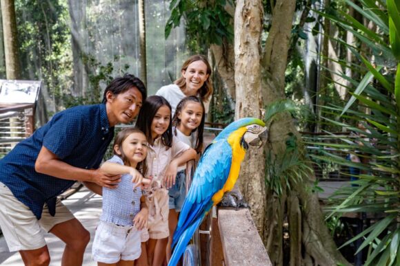 Things to Do on the Gold Coast With Kids
