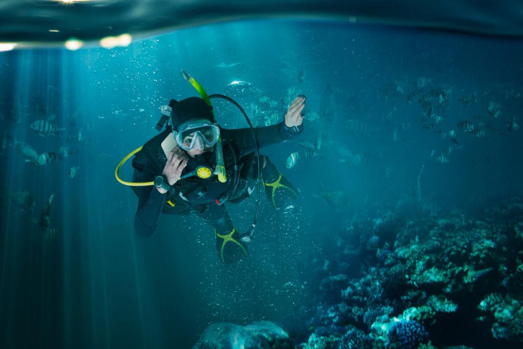 scuba diving on the gold coast