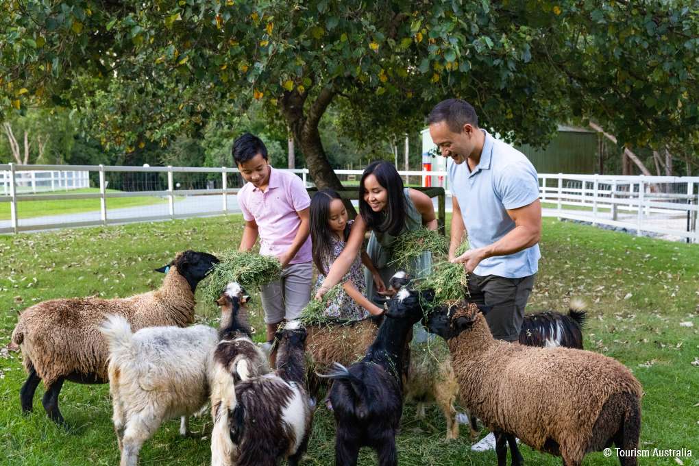 Paradise Country Gold Coast - A Farm Experience Like Non-Other