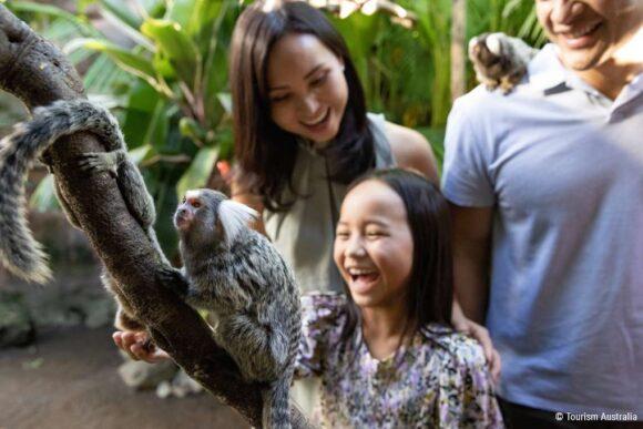 Paradise Country Precincts